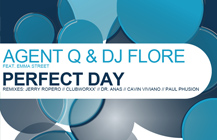 Agent Q & DJ Flore – Perfect Day